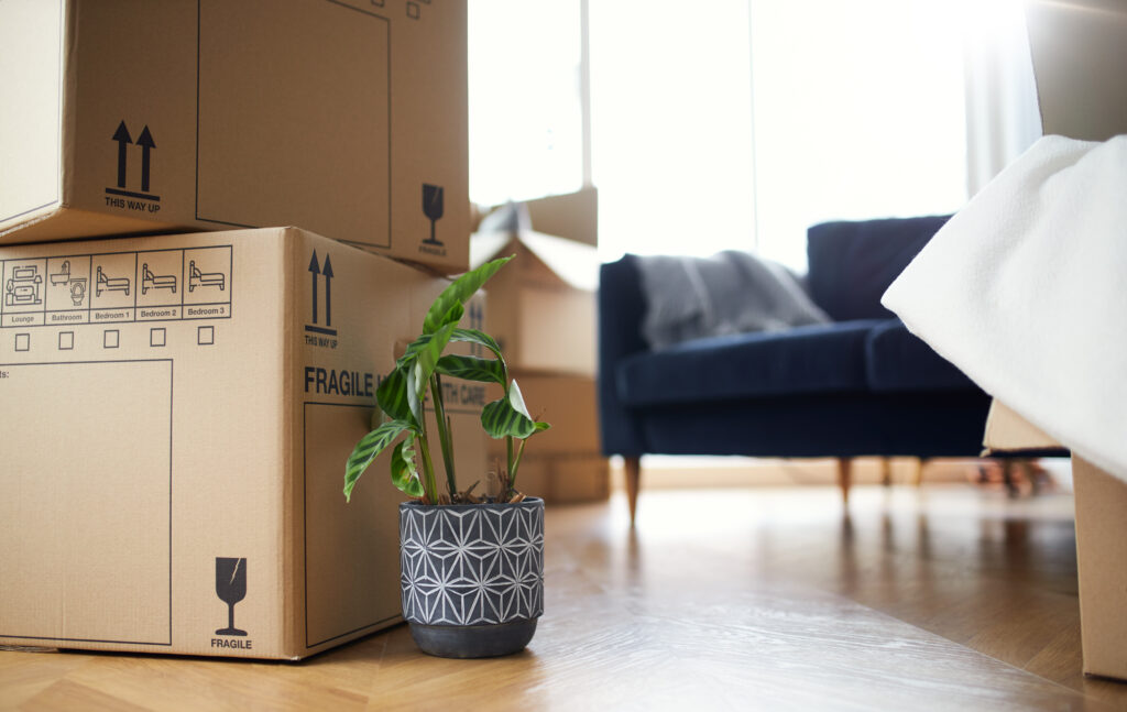 Close Up Of Stacked Removal Boxes And Houseplant In Lounge Ready For Moving In Or Moving Out Of Home