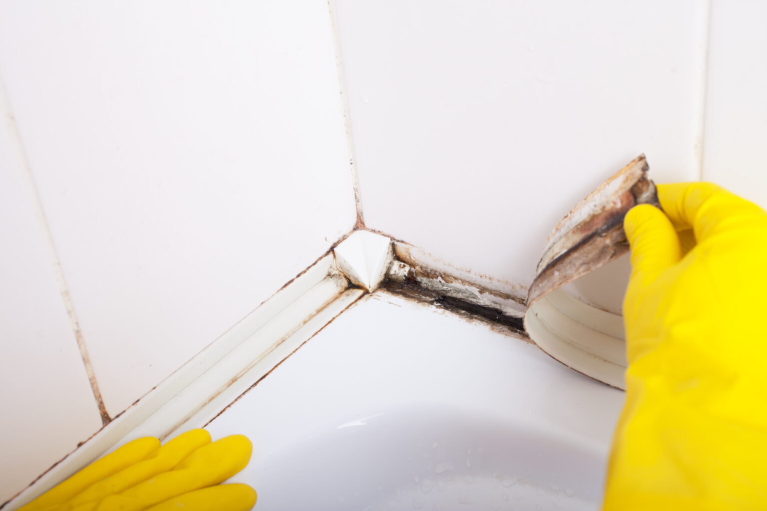 how-to-remove-unsightly-mould-from-silicone-sealant-belvoir